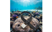 Stainless Steel Components Underwater Cylinder Strap Diving Cylinder Band Quick-Release
