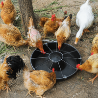 poultry feeder