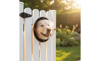 Pet Containment Window Transparent Pet Containment Bubble Transparent Pet Window Viewing Dome for Dogs, Pets, Yard
