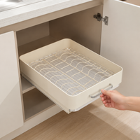 Large Capacity Dish Drainer, Under Sink Organizer, Sliding Drawer, No Installation, Minimalist Rectangular Design