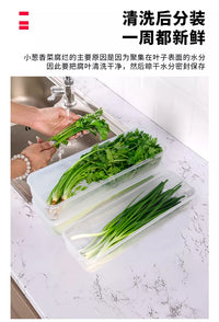 香菜小葱保鲜盒食品级葱姜蒜备菜收纳保鲜神器鸡蛋面条冰箱收纳盒