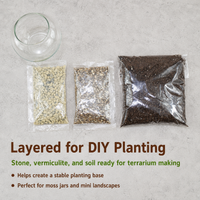 terrarium kit