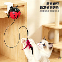 Automatic Retractable Feather Cat Teaser with Clip and Electric Lift