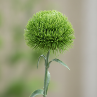 Artificial Dianthus Green Plant Ball for Photography Props and Decoration