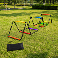 agility ladder