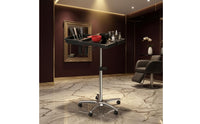 Rolling Salon Tray Cart Bowl Slots Height Adjustable Trolley Top Professional Storage for Stylists
