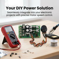 Adjustable Speed DC Motor Controller, 60V DC Motor Speed Regulator, DC 6-60V 12V 24V, DIY Projects Motor Speed, Motor Governor Variable Speed Drive