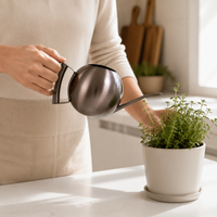 Long Spout Indoor Watering Can, Small Metal Watering Can 1000ml, Stainless Steel Spherical Design for Houseplants