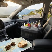 12V 24V Car Refrigerator with Warmer Dual-functionFunction Portable Refrigerator with Handle Compact Electric Cooler with Handle Thermoelectric for Camping