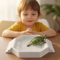 Turtle Bath Base Aesthetic Basking Base Bowl Easy to Clean Tortoise Bath Basin for Aquarium Decor