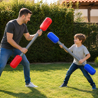 inflatable gladiator game set