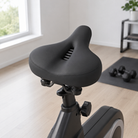 bicycle saddle