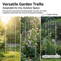 50cm Metal Garden Trellis, Decorative Plant Supports for Climbing Roses & Vines, European Artistic Welded Frame, No Installation Required