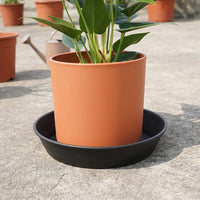 Plant Saucers and Drip Tray for Outdoor Plants, Heavy Duty Pot Stand, Single Unit Trays for Garden Nurseries, Extrusion Style