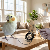Parrot Leash and Flying Leash with Elastic Rope, Bite-resistant Bird Training Leash for Secure Traction, Pet Bird Leash for Outdoor Bird Harness Use
