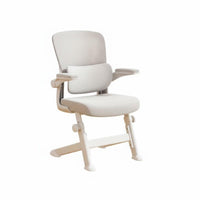 Ergonomic Design rotating Task Chair with Flip-up Arms Height Adjustable Computer Seat Breathable spinerest Office Furniture for Teenagers, Students