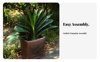 Promotes Symmetrical Growth Clivia foliage Alignment Tool Adjustable Design Plant guide Gardening Accessory for Gardeners, Balcony, Office, Home