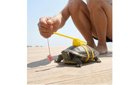Tortoise Harness and Leash Support Bracket Turtle Leash Dangling Tether Turtle Harness for Exercise