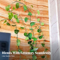 Easy Installation foliageShaped Climbing Plant fastener Tidy Organization foliageShaped fastener Space Saving climbing plant holder unobtrusive Design for Indoor Gardeners, Renters, Home Decorators, Indoors, Living Room, Bedroom, Outdoor