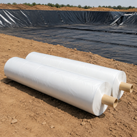 Transparent plastic geomembrane, puncture-resistant, for ponds and landfills