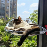 Window Cat Perch with Transparent Dome, Suction Cup Cat Bed and Hammock for Indoor Sunbathing, Strong 3 Cups Sturdy Non-Foldable Elevated Seat