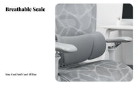 Highspine Ergonomic Seat with Headrest Reclining spinerest for work-from-home Workers