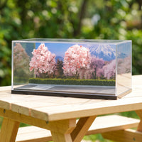 Miniature Display Base with Acrylic 1/64 Model Car Display Case Transparent for Collectors, Shelves, Desks