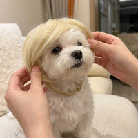 Blonde Pet Hairpiece Buttery Blonde Dog Hairpiece Halloween Costume for Photo Photography, Party