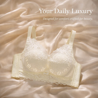 Push Up Bra with Breathable Lace and Non Wired Support for Women, Everyday with Panels, Four Hook Closure for Adjustable Fit