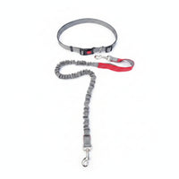 Woven Strap Pet Collar Leash Kit for Walking