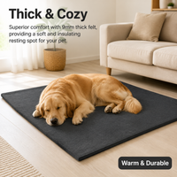 Felt Dog Mat, Large Dog Bed, Small Dog Bed, Light Gray Warm Anti-Bite Pet Mat, Dog Crate Mattress for Medium Dogs