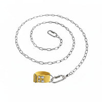 Strong Loop Goose Lead Chain Rotary Buckle Peacock Leash Rust Resistant Stainless Steel Bird Tether for Outdoor