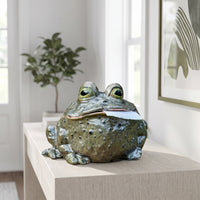 Decorative Toad Tissue Box Holder Whimsical Toad Tissue Holder Funny Home Decor Humorous for Bathroom