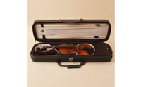 Violin Case Full Size Violin Case with Humidity Meter Hard Shelling Hygrometer for Violinists