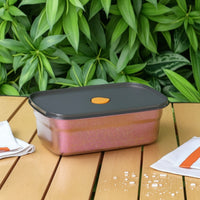 Food Container Rectangular Food Container with Lid Shiny Box for Commuters, Campers, Workday Meal, Camping, Travel