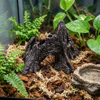 Rock-Textured Resin Reptile Hide, Crested Gecko Tank Accessories and Reptile Rock Hideout, Dark Brown Cave for Small Frogs and Amphibians, 10cm
