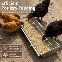 Steel Poultry Feeder, Polished Silver Chicken Feeder for Smallholders, Weatherproof & Vermin Resistant