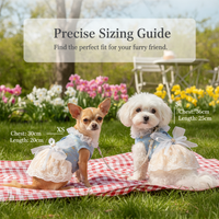 Princess Wedding Dress for Small Dogs and Cats with Leash Ring - Maltese, Ragdoll