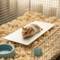 Hamster Cool Plate Metal Aluminum Cooling Plate Hamster Cooling Mat Flat for Hamsters