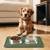 pet feeding mat