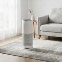 With Air Cleaner with Sanitizing Feature Large Room with WiFi Control Smart Appliance for Allergy Sufferers, Pet Owners, Office, Bedroom