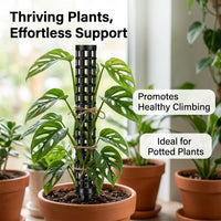 Climbing Plant Support, Stackable Monstera Plant Pole with Water Retention, Fillable Plant Support for Mature Indoor Plants