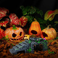 Bearded Lizard Accessories with Flexible Reptile Mounting, Realistic Reptile Hide for Jumping Arachnid Enclosure, Sturdy Habitat