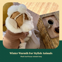 Dog Coat & Hat, Small Dogs, Winter, Ear Hole Design