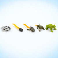 5 Pieces Early Learning Life Cycle Figures with Display Card Educational Animal Growth Cycle Models Interactive Animal Figures Hands-on for Homeschooling