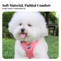 Dog Harness and Leash Set Cute Design Vest Dog Harness Lightweight for Daily Use, Outdoor, Training
