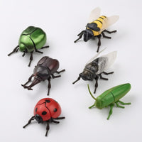 6 Pieces Boxed Set Wind-up Toy Articulated Legs Crawling Bug Toy Translucent Wings Plastic Figure Printed Color Box