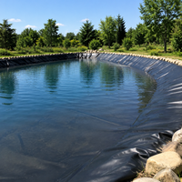 HDPE Geomembrane Sheet, Waterproof Liner for Ponds, Landfills, Disposal Sites, Lakes, Reservoirs, Black