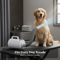 Low Noise High Velocity Dog Dryer Quick Dry High Velocity Pet Dryer Long-Lasting Engine Heated Pet Grooming Blower Multiple Nozzles for Home Use