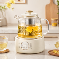 electric kettle